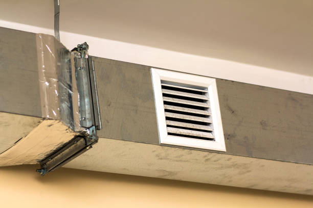 Best Home Air Vent Cleaning  in Orida Ridge, FL